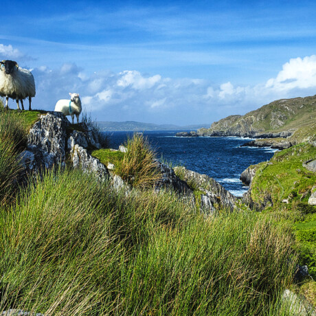 Ring of Beara
