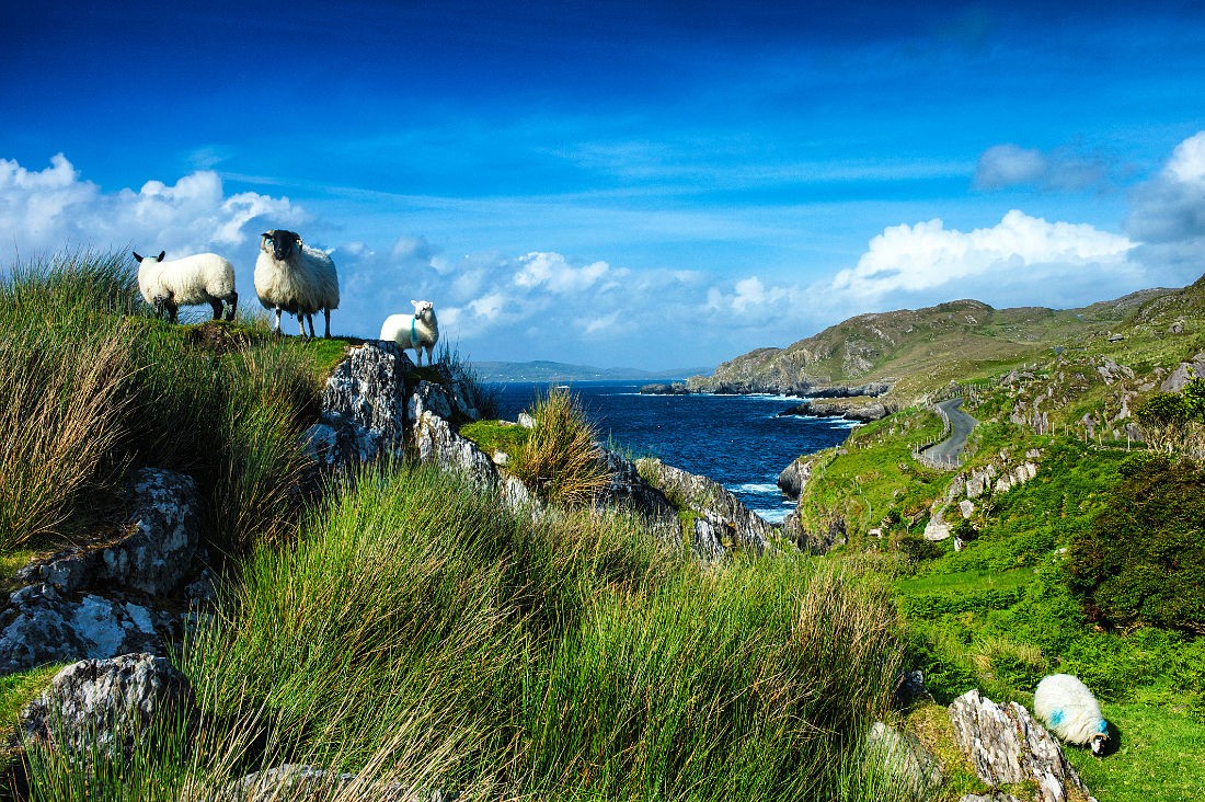 Beara Peninsula, Co. Cork, Irland