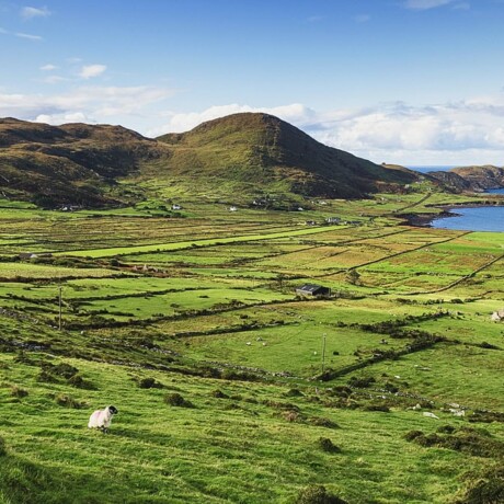 Ring of Kerry