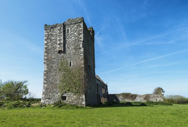 Sigginstown Tower House