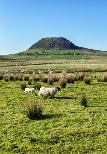 Slemish