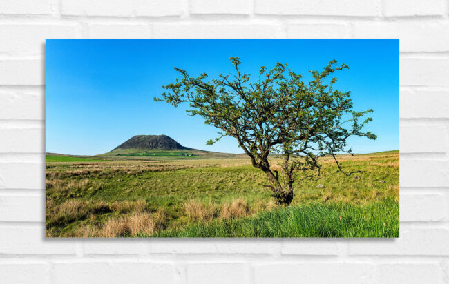 Slemish - Nordirland Foto