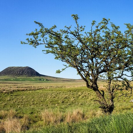 Slemish