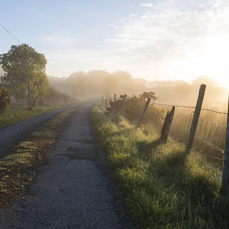 Sligo Backroads