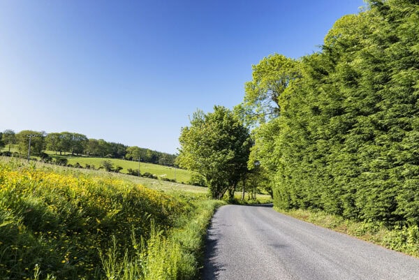 Somewhere in Wicklow