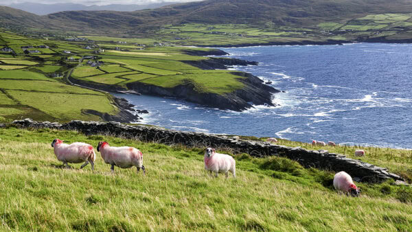 St Finian's Bay