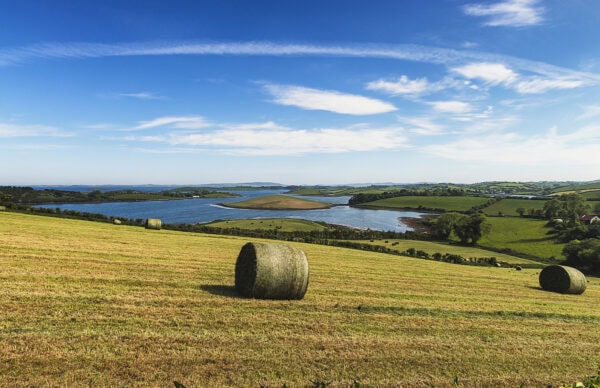Strangford Lough
