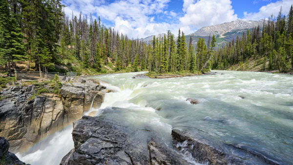 Sunwapta Falls