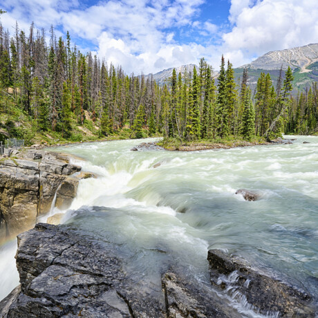 Sunwapta Falls
