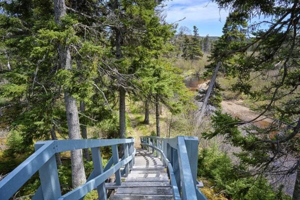 Terra Nova National Park
