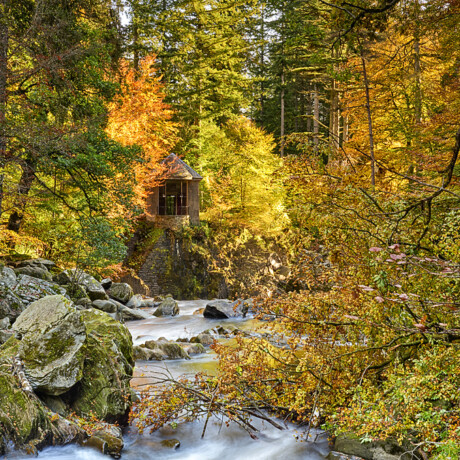 The Hermitage