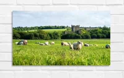 Tintern Abbey - Irland Foto