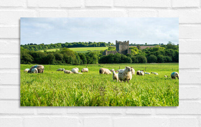 Tintern Abbey - Photo of Ireland