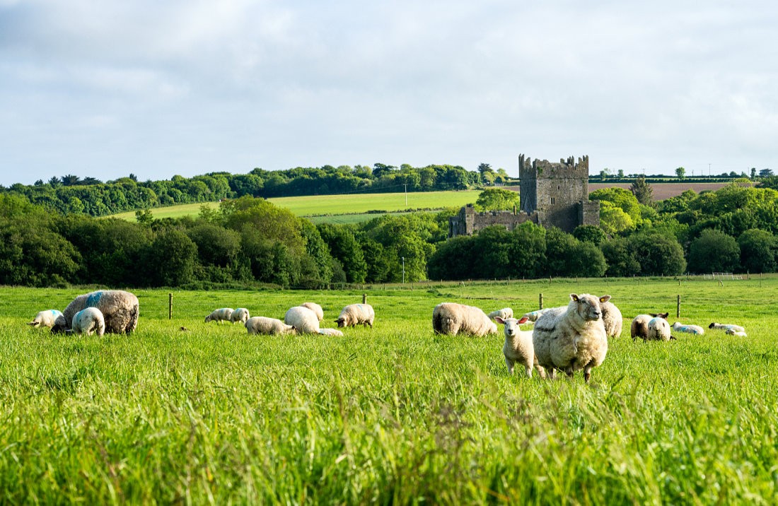 Tintern Abbey on the Hook Peninsula, Co. Wexford, Ireland