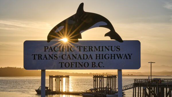 Tofino Harbour