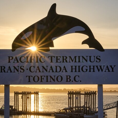 Tofino Harbour