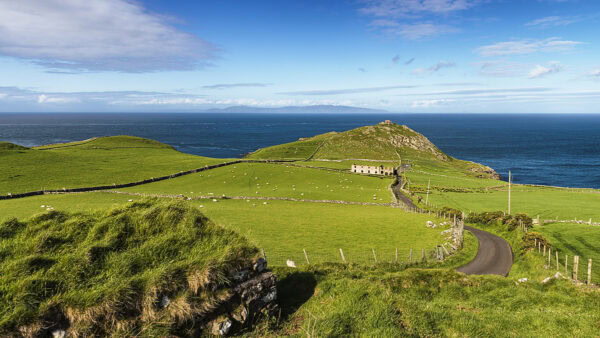 Torr Head