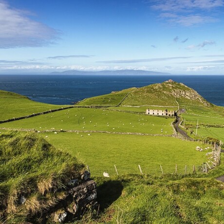Torr Head