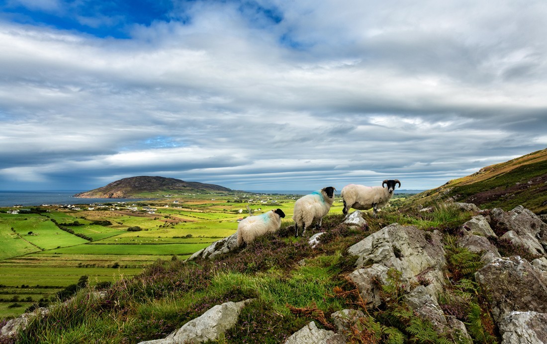 Urris Hills auf der Inishowen Halbinsel, Co. Donegal, Irland