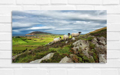 Urris Hills - Irland Foto