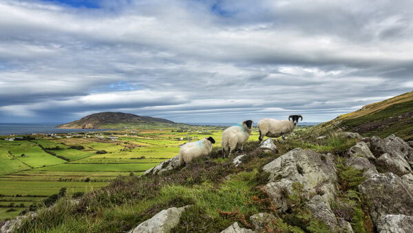 Urris Hills