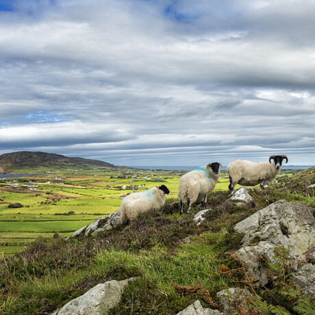 Urris Hills