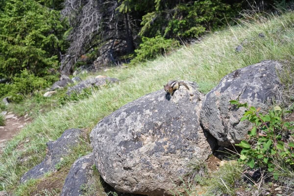 Valley of the Five Lakes