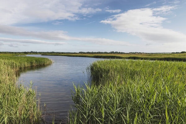 Wexford Wildfowl Reserve