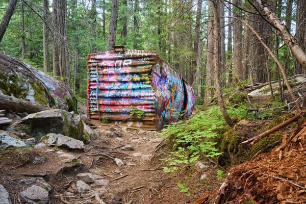 Whistler Train Wrecks