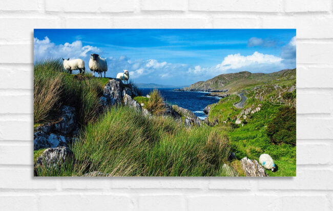Wild Atlantic Way - Irland Foto