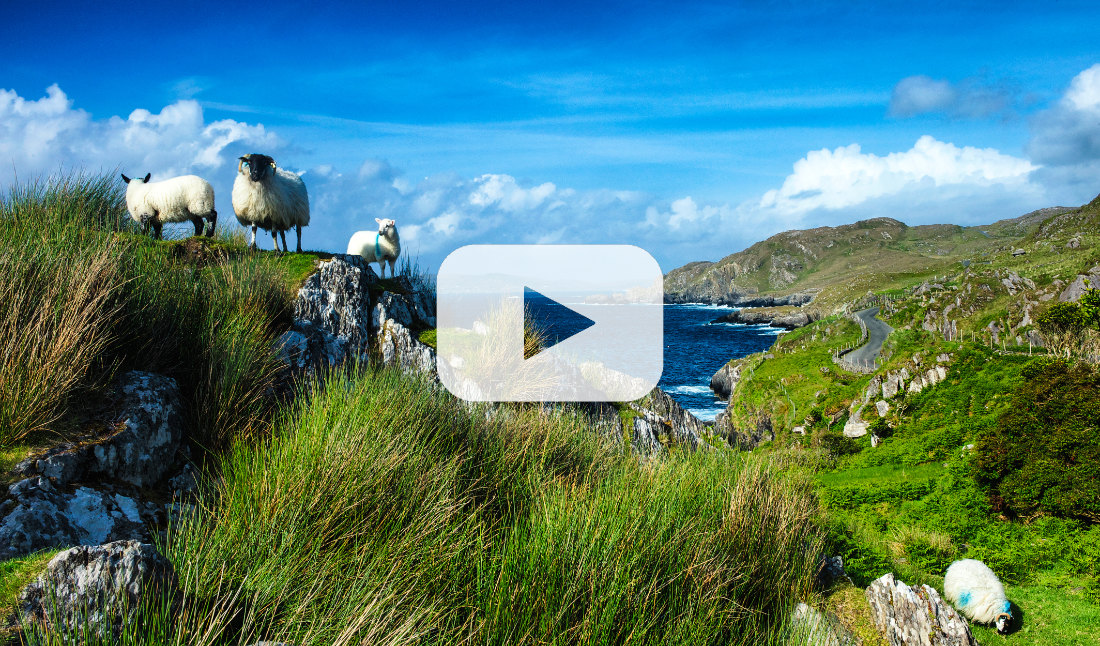 Wild Atlantic Way Video