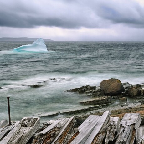 Iceberg in Wolf Cove